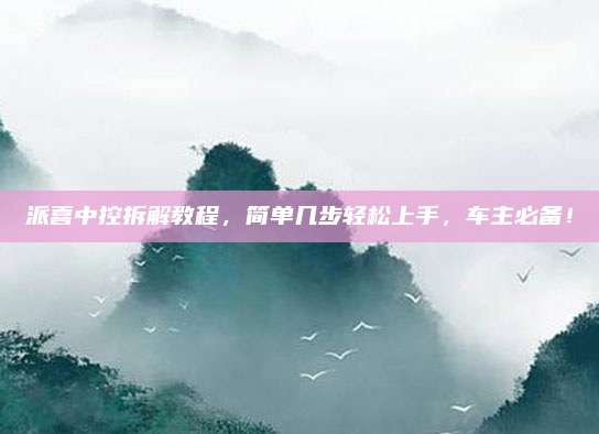 派喜中控拆解教程，简单几步轻松上手，车主必备！