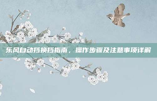 乐风自动挡换挡指南，操作步骤及注意事项详解