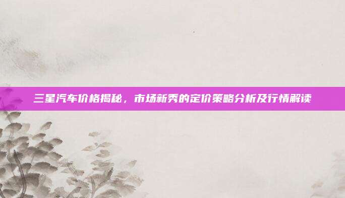 三星汽车价格揭秘，市场新秀的定价策略分析及行情解读
