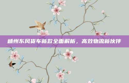 嵊州东风货车新款全面解析，高效物流新伙伴