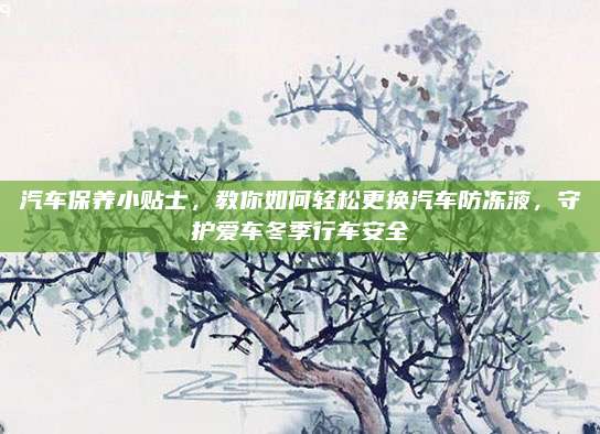 汽车保养小贴士，教你如何轻松更换汽车防冻液，守护爱车冬季行车安全