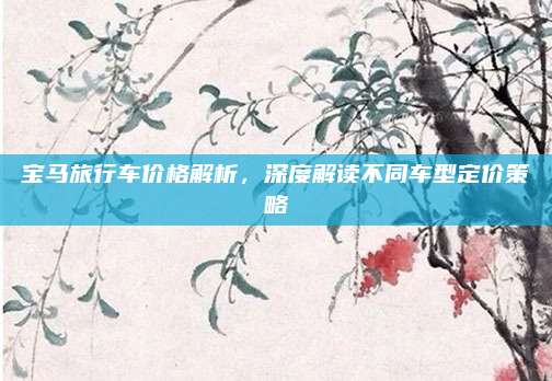 宝马旅行车价格解析,深度解读不同车型定价策略