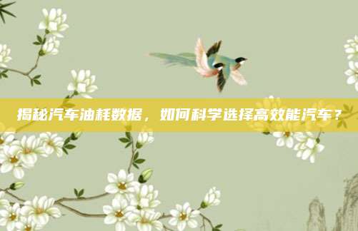 揭秘汽车油耗数据，如何科学选择高效能汽车？