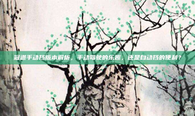 冠道手动挡版本解析，手动驾驶的乐趣，还是自动挡的便利？