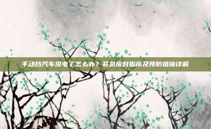 手动挡汽车没电了怎么办？紧急应对指南及预防措施详解