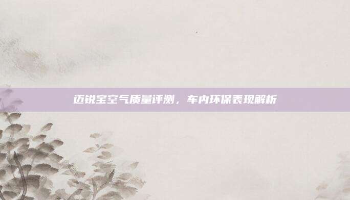 迈锐宝空气质量评测，车内环保表现解析