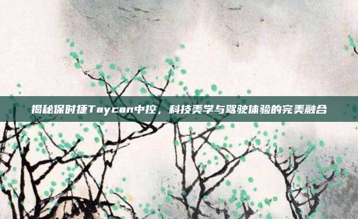 揭秘保时捷Taycan中控，科技美学与驾驶体验的完美融合