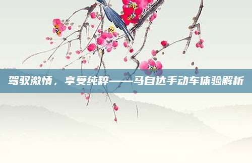 驾驭激情，享受纯粹——马自达手动车体验解析