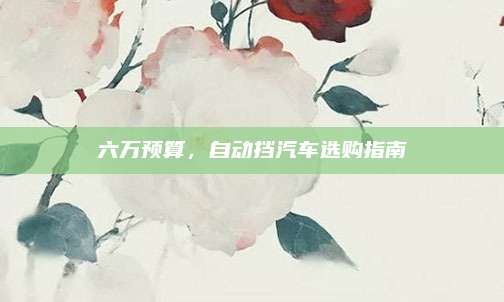 六万预算,自动挡汽车选购指南