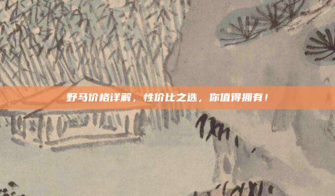 野马价格详解，性价比之选，你值得拥有！
