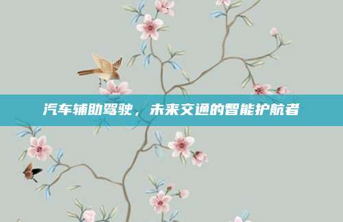汽车辅助驾驶，未来交通的智能护航者