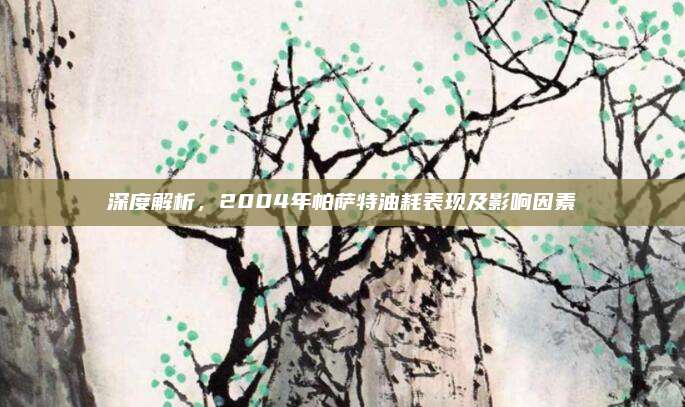 深度解析，2004年帕萨特油耗表现及影响因素