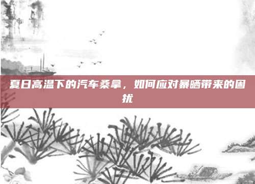 夏日高温下的汽车桑拿，如何应对暴晒带来的困扰