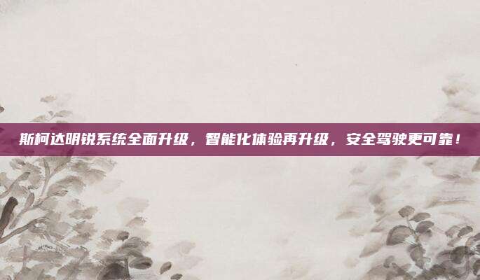 斯柯达明锐系统全面升级，智能化体验再升级，安全驾驶更可靠！