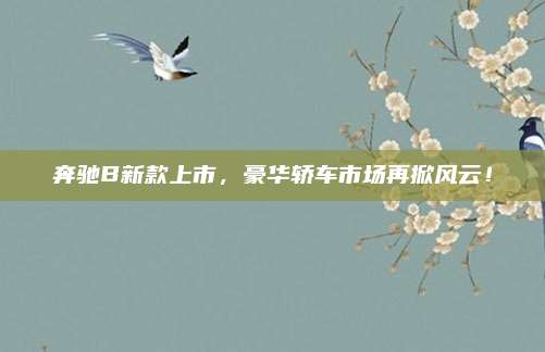 奔驰B新款上市，豪华轿车市场再掀风云！
