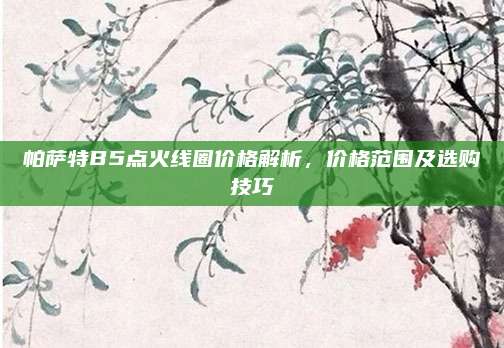 帕萨特B5点火线圈价格解析，价格范围及选购技巧