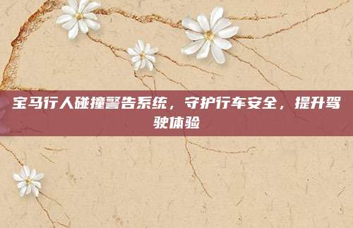 宝马行人碰撞警告系统,守护行车安全,提升驾驶体验