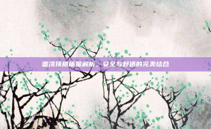 雷凌顶棚质量解析，安全与舒适的完美结合