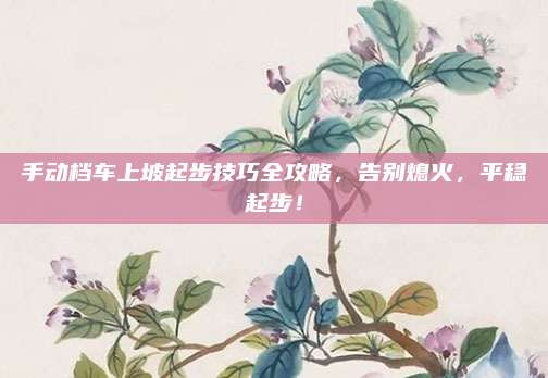 手动档车上坡起步技巧全攻略，告别熄火，平稳起步！