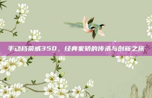 手动档荣威350，经典家轿的传承与创新之旅