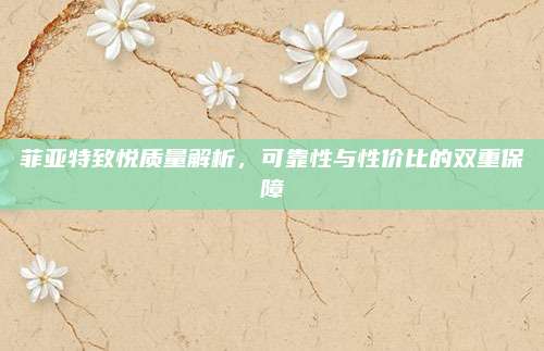 菲亚特致悦质量解析,可靠性与性价比的双重保障