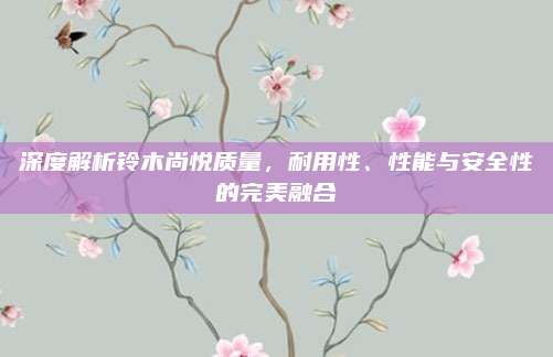 深度解析铃木尚悦质量，耐用性、性能与安全性的完美融合