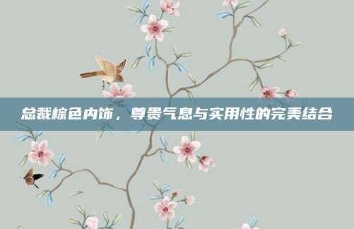 总裁棕色内饰，尊贵气息与实用性的完美结合