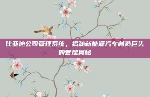 比亚迪公司管理系统，揭秘新能源汽车制造巨头的管理奥秘