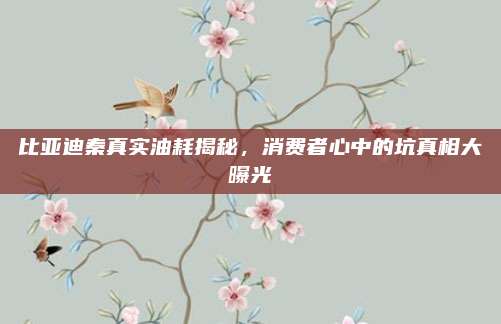 比亚迪秦真实油耗揭秘，消费者心中的坑真相大曝光