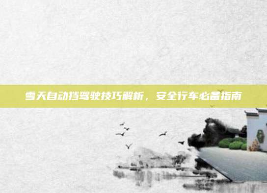 雪天自动挡驾驶技巧解析，安全行车必备指南