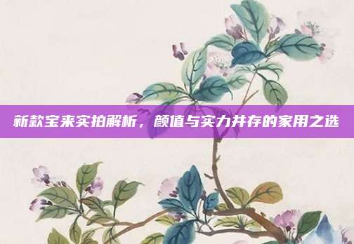 新款宝来实拍解析，颜值与实力并存的家用之选