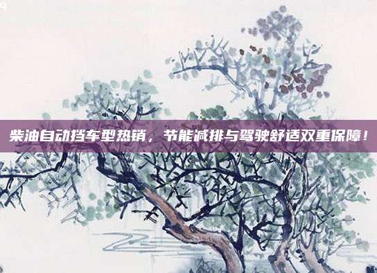 柴油自动挡车型热销，节能减排与驾驶舒适双重保障！