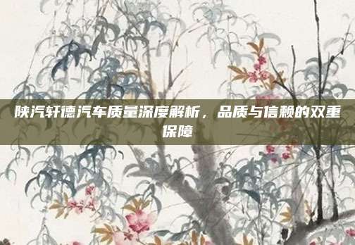 陕汽轩德汽车质量深度解析，品质与信赖的双重保障