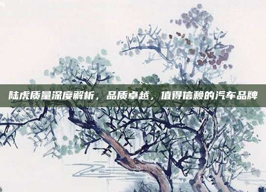 陆虎质量深度解析，品质卓越，值得信赖的汽车品牌