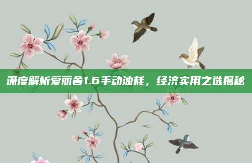 深度解析爱丽舍1.6手动油耗，经济实用之选揭秘
