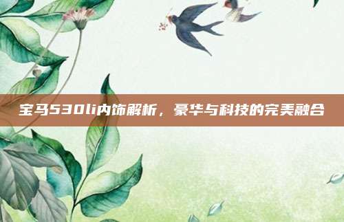 宝马530li内饰解析，豪华与科技的完美融合