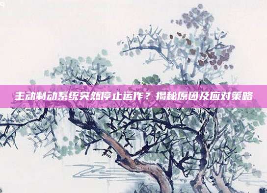 主动制动系统突然停止运作？揭秘原因及应对策略
