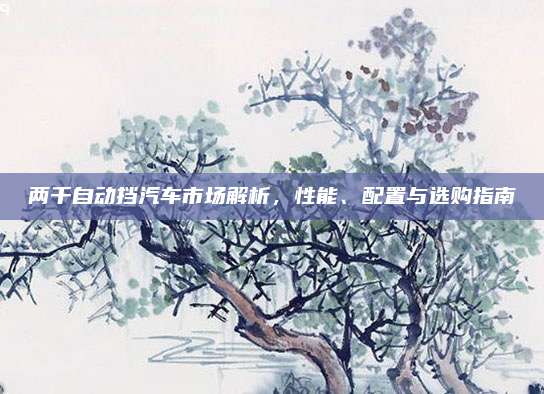 两千自动挡汽车市场解析，性能、配置与选购指南