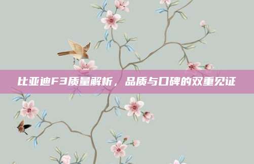比亚迪F3质量解析，品质与口碑的双重见证