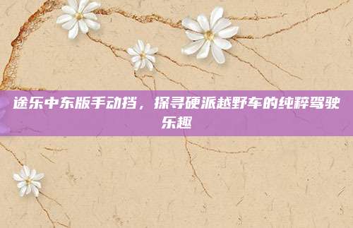途乐中东版手动挡，探寻硬派越野车的纯粹驾驶乐趣