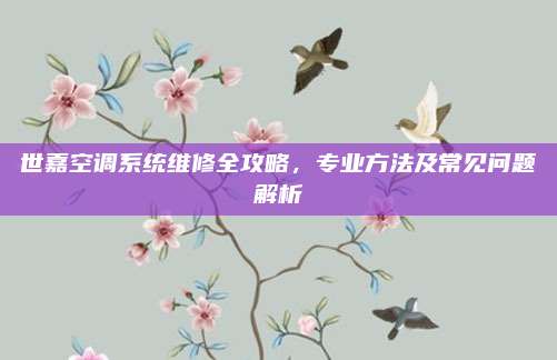 世嘉空调系统维修全攻略，专业方法及常见问题解析