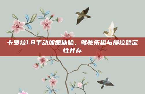 卡罗拉1.8手动加速体验，驾驶乐趣与操控稳定性并存