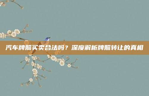 汽车牌照买卖合法吗？深度解析牌照转让的真相