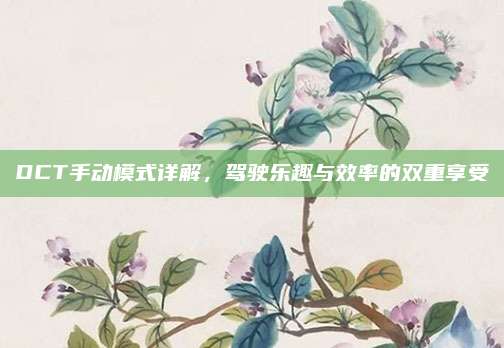 DCT手动模式详解，驾驶乐趣与效率的双重享受