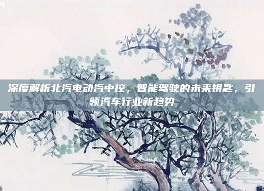 深度解析北汽电动汽中控,智能驾驶的未来钥匙,引领汽车行业新趋势