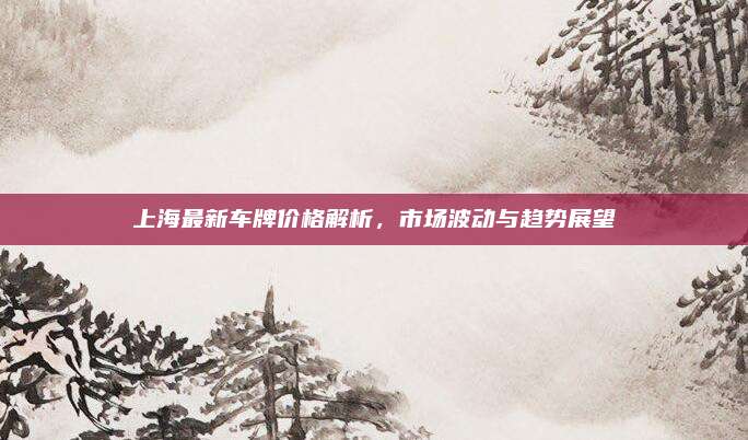 上海最新车牌价格解析，市场波动与趋势展望