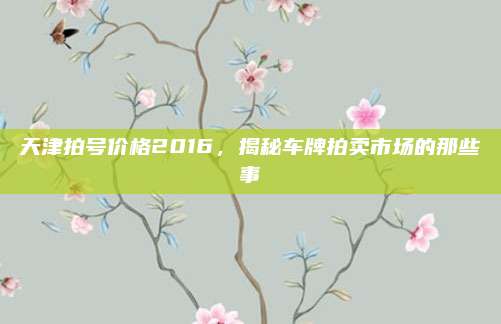 天津拍号价格2016，揭秘车牌拍卖市场的那些事