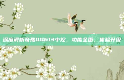 深度解析奇瑞QQ613中控，功能全面，体验升级