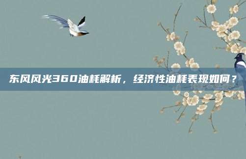 东风风光360油耗解析，经济性油耗表现如何？