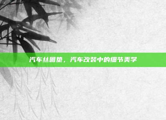 汽车丝圈垫，汽车改装中的细节美学